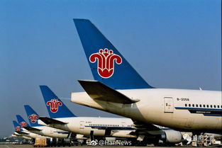 襄陽青年請注意 南方航空招飛啟動，翱翔藍(lán)天夢想觸手可及